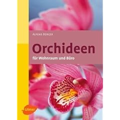 Orchideen f�r Wohnraum und B�ro