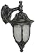 Hardware House 461376 13-1/4-Inch by 6-1/2-Inch Outdoor Lighting Fixture Charcoal/Silver