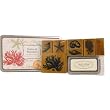 Natural Wonders Vintage Botanical stamps in tin with inkpad Cavallini
