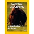 Le grand retour des bisons