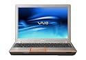 Sony VAIO VGN-C220E/H 13.3" Laptop (Intel Core 2 Duo T5500 1.66 GHz Processor, 1 GB RAM, 160 GB Hard Drive, DVD RW Drive, Vista Premium)