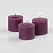 Richland® Votive Candles Purple Mulberry Scented 10 Hour Burn Set of 72