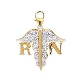 14k Gold Diamond 'RN' Nurse's Charm (1/10 cttw)