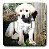 Dogs Labrador Retriever - Cute Yellow Lab Puppy - Light Switch Covers - double toggle switch