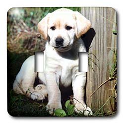 Dogs Labrador Retriever - Cute Yellow Lab Puppy - Light Switch Covers - double toggle switch