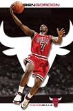 Bulls - Gordon by Unknown. PLAQUE MOUNTED. 22.00 inches width by 33.21 inches height. Highest Quality Art Poster Print