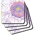 Rainbow Beauty Sunflower Art Flowers Designs Inspired by Nature - Set Of 8 Ceramic Tile Coasters
