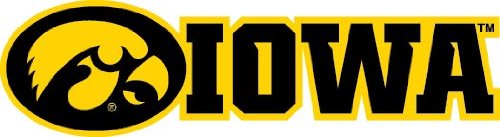 Iowa Hawkeyes 06 48x13 inch Large Fabric Wall Skin