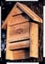 WoodLink Model BAT4 Cedar Bat Chalet House 20 Bat Capacity