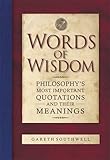 Words of wisdom : philosophy's most important quotations and their meanings