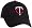 Minnesota Twins