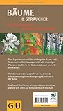 Image de Bäume & Sträucher: Die wichtigsten Arten entdecken und bestimmen