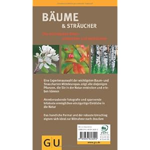 Bäume & Sträucher: Die wichtigsten Arten entdecken und bestimmen