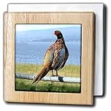 Pheasant - 6 Inch Tile Napkin Holder