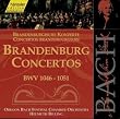 Edition Bachakademie Vol. 126 (Brandenburgische Konzerte)