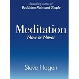 Meditation Now Or Neverby Steve Hagen