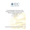 China Managed Services in the Small and Medium-Sized Business Market: Opportunities and...