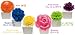 �y-BLOOM-(�u���[��)/�t���b�V���t�����[�̍��聚 �Ԃ̍���ƐF�̕ω����y���ރ��[���t���O�����X�B�z