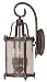 418otdSDvGL. SL75  Trans Globe Lighting 5901 BRT 20 3/4 Inch 2 Light Outdoor Medium Wall Lantern, Burnished Rust