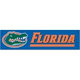 Florida Gators NCAA Applique & Embroidered Party Banner (96x24)