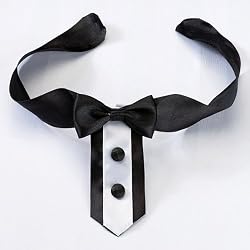 Tuxedo Dog Collar - Dress Your Pooch in Style - Perfect for Weddings