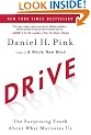 Drive: The Surprising Truth about What Motivates Us