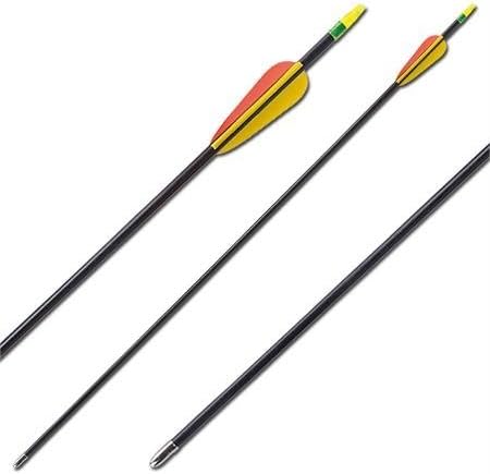 Wizard Archery Fiberglass Target Practice Arrows (1 Dozen)
