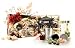 Teavana Imperial Blooming Collection Gift Box