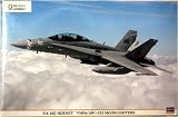 1/48 F/A-18Dホーネット VMFA(AW)-332ムーンライダーズ