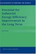 Potential for Industrial Energy-Efficiency Improvement in the Long Term