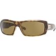 Arnette Chamber Men's Fashion Sunglasses
