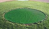 White Line Equipment 18 Oz Green Vinyl 26' Diameter Full Size Home Plate Tarp