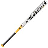 Worth FPT54L Titan Fastpitch Bat (-10)