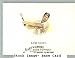 2008 Topps Allen and Ginter #42 Luke Scott - Baltimore Orioles (Baseball Cards)