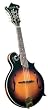 Kentucky Standard F-Model Mandolin Model KM-630 in Traditional Sunburst