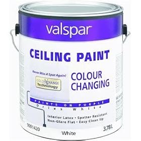 Valspar 027.0001420.007 Color Changing Ceiling Paint