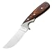 SOG Specialty Knives and Tools WD01-L Woodline, Large Fixed