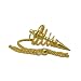 Gold Plated Corkscrew Metal Pendulum with Chain, Divination Tool