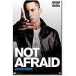 Eminem Poster I Am Not Afraid Slim Shady Recovery 5279 Collections Poster Print, 22x34