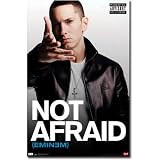 Eminem Poster I Am Not Afraid Slim Shady Recovery 5279 Collections Poster Print, 22x34