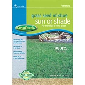 GT 8LB Shady Grass Seed