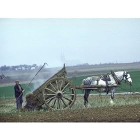 French Farmer Laying Compost on His Field from a Cart Drawn by a Percheron Horse Photographic Poster Print by Loomis Dean, 16x12