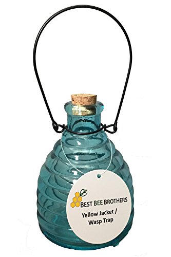 Wasp Trap - Glass Blue Wasp Trap - Glass Blue