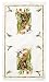 Hummingbirds Set 2 Dish KITCHEN TOWELS Gift