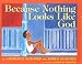 Books : Because Nothing Looks Like God