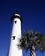 Georgia's St. Simons Lighthouse Photograph - Beautiful 16x20-inch Photographic Print by Carol M. Highsmith
