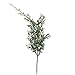 Factory Direct Craft ® Collection of 12 Artificial Christmas Holiday Pine Juniper Floral Picks