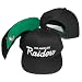 Los Angeles Raiders Black Plastic Snapback Adjustable Plastic Snap Back Hat / Cap
