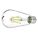 Parrot Uncle 6W LED Filament Light Bulb ST19 Vintage Edison Style Bulbs Cool Daylight White 6000K,60W Incandescent Bulb Replacement,E26 Medium Base Clear Glass Cover for LED Home Lighting