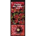 Zauber der Natur 2013 Panorama Postkartenkalender: Kalender mit 12 Postkarten